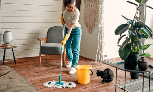 Household Tasks - Hope Minded Care - NDIS Brisbane Logan Ipswich 503