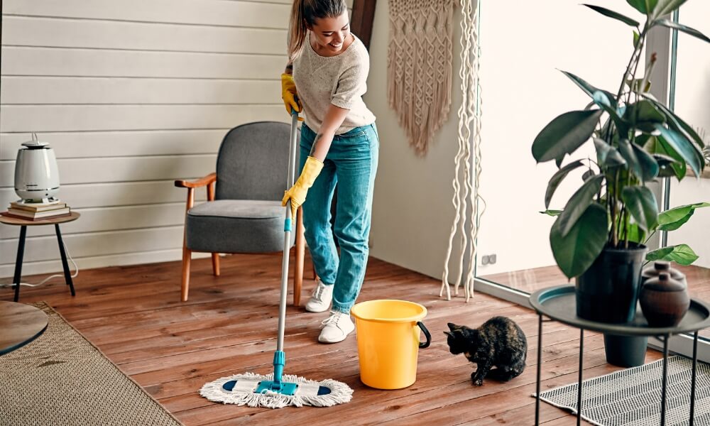 Household Tasks - Hope Minded Care - NDIS Brisbane Logan Ipswich 503